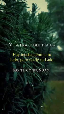 La frase del día 🍂🍀🪄 #fyp #viral #parati #motivacion #fypシ 