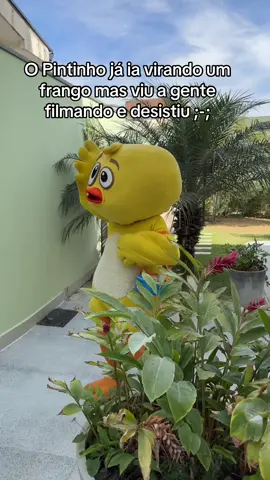 Orgulho da mamãe tá crescendo  #galinhapintadinha 