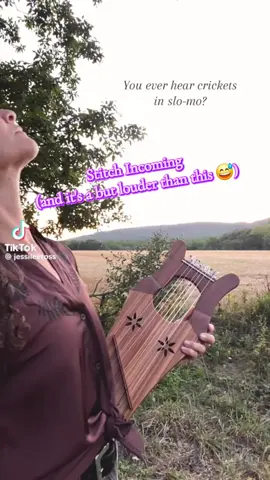 This is genuinely REALLY COOL to hear!! credit to @Jessi Lee Ross for the original video and idea, TikTok wouldn't let me stitch it the right way. #nature #crickets #fyp #foryou #fy 