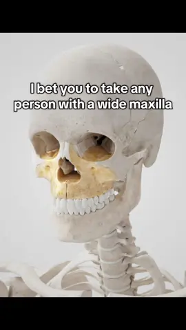 Developed maxilla is the key to health.  Health is the key to looks. #widemaxilla #maxilla #maxillaexpander #palateexpander #mewingshop #mogged #chicolachowski #jordanbarrett #mewing #looksmax #GlowUp #SelfImprovement #forwardgrowth #expander #expand #mew #looksmaxing #fyp 
