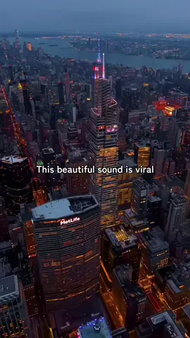 This beautiful sound is viral #music #virall #fypシ 