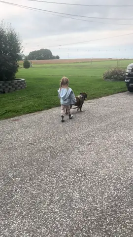 🤣🤦🏻‍♀️#agirlandherdog #whostheboss #madisonandbo #toddlersoftiktok #pitbullsoftiktok 