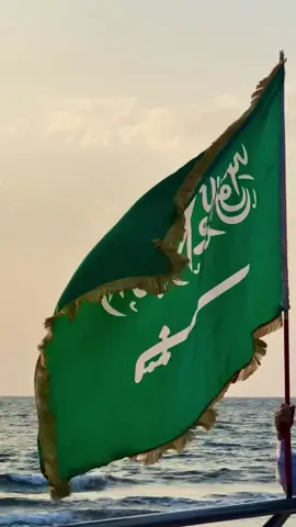 #اليوم_الوطني_السعودي🇸🇦 