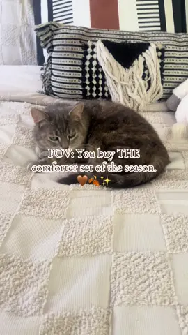 Cat approved. #fy #fall #tts #tiktokshop 