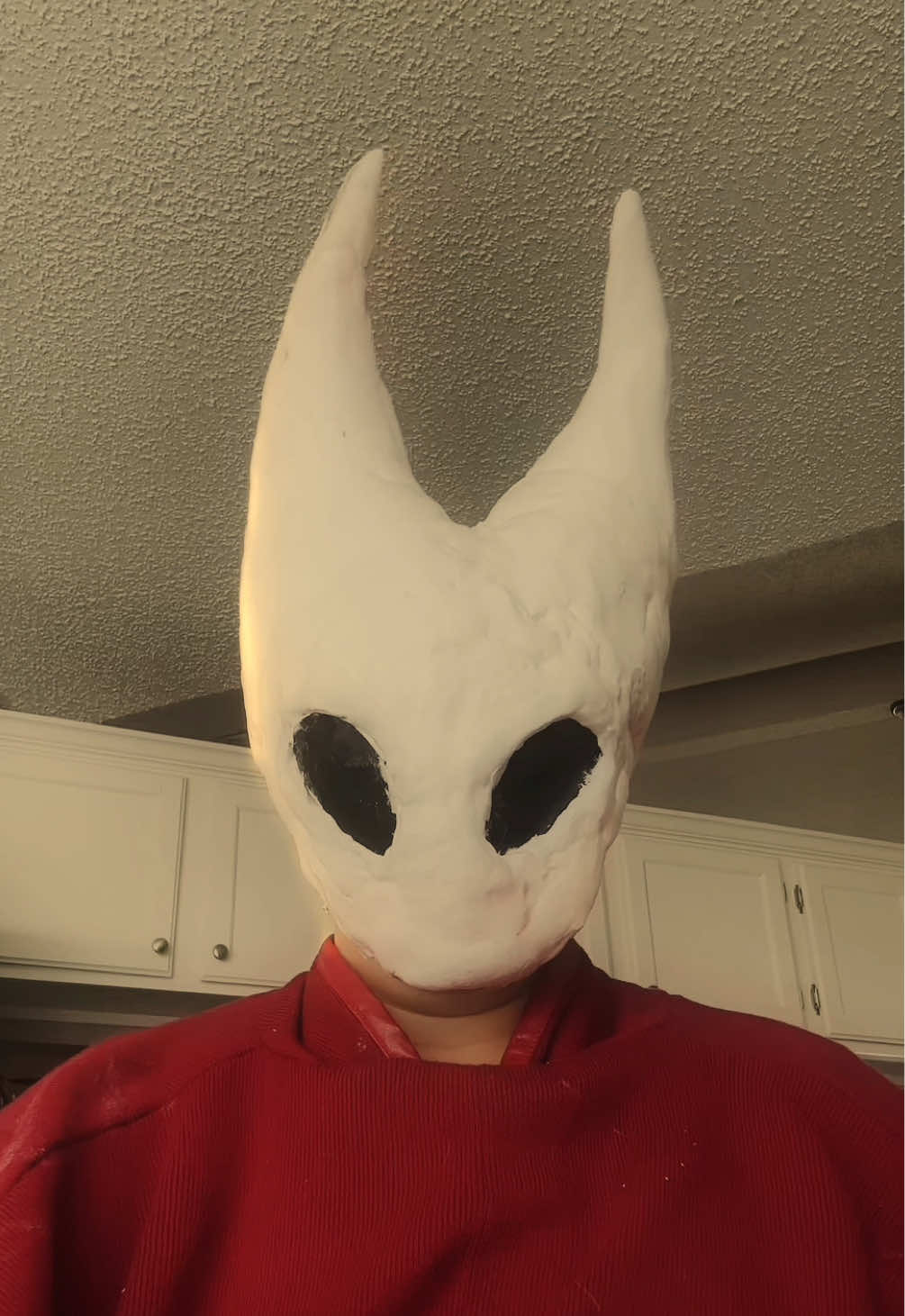 Is this too niche? Yall should check it out if you haven’t 👀#DIY #costume #gaming #silksong #hollowknight 