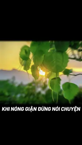 Bình tĩnh sống 22.09.2025