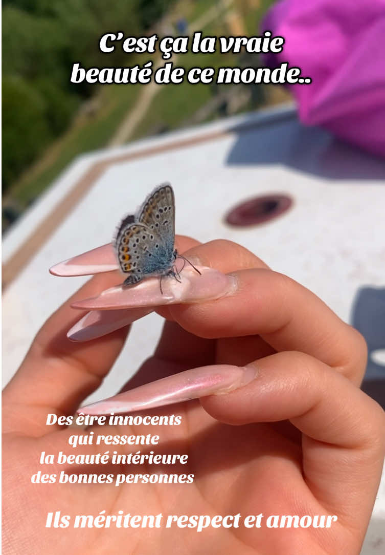 Ils sont ce qui a de plus beaux ♥️