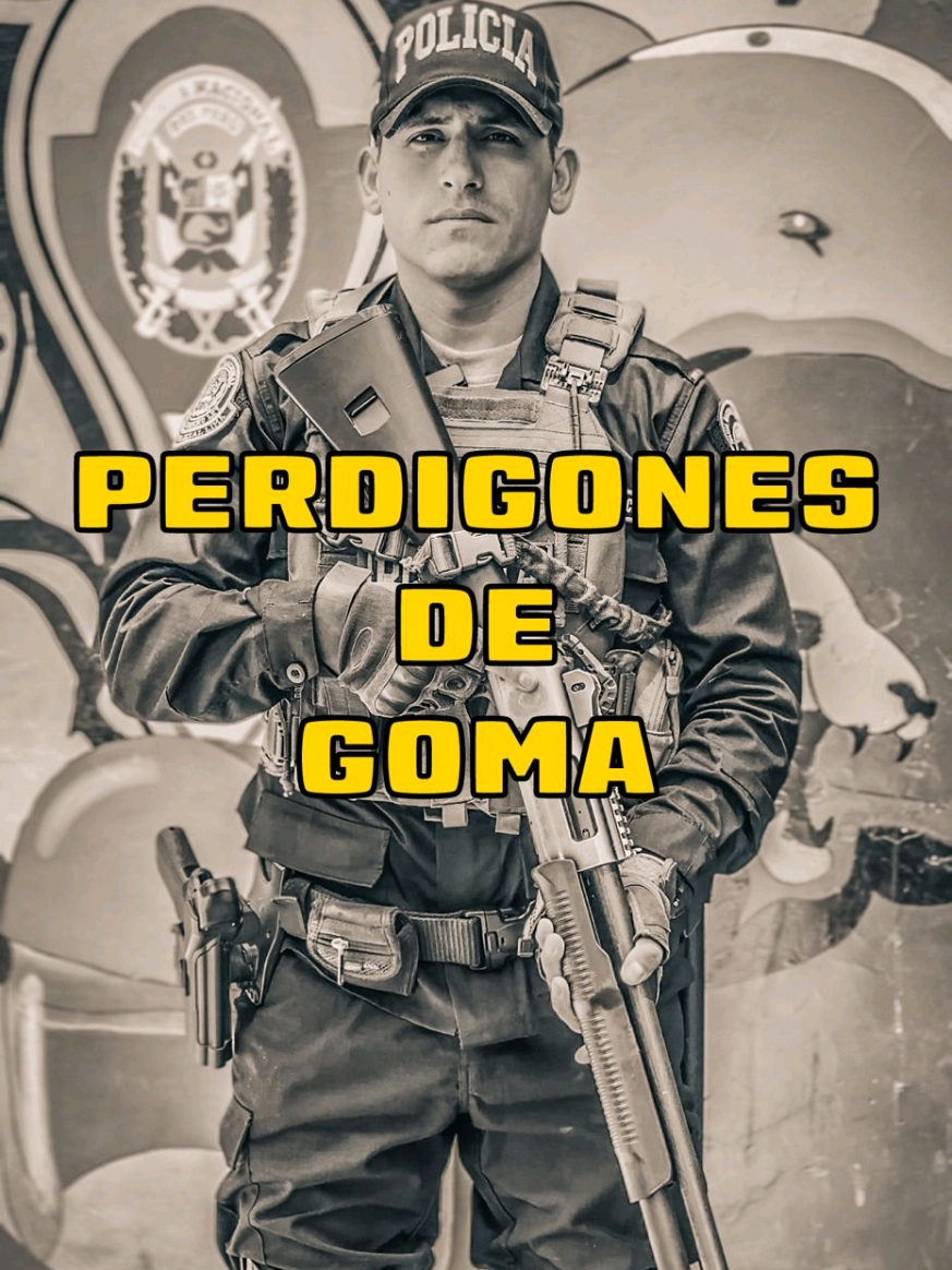 🚨 | ¿Perdigones?  ❌ Falso. En este video mostramos lo que realmente utilizan nuestros efectivos policiales en el control de multitudes. No te dejes sorprender por información que circula en redes sociales. #PNP #policia #pnpperu #policianacional 