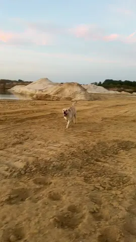 #fyppppppppppppppppppppppp 