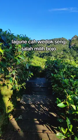 A1🤣 #fyp #koplodangdut #4u #masukberanda #magelang24jam 