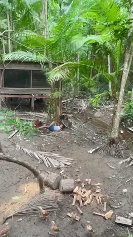 2v1 dog x kid vs chicken #fypシ゚ #makeitviral #fyppppppppppppppppppppppp 