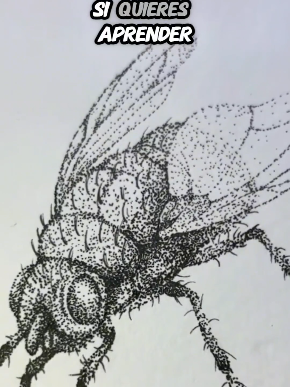 Si te gusto dale ❤ y comparte con otros artistas 🎨 #arte #comodibujar #tutorialdedibujo #drawing #dibujoalápiz 