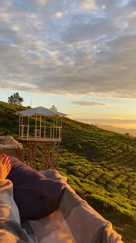 ⛅️                                                                   #dempohighlandglamping #dempopagaralam #pagaralam #kebunteh #fypage 