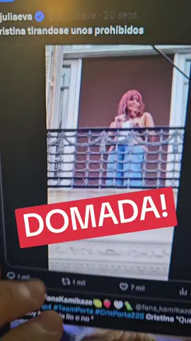 ULTRA KIRCHNERISTA SE DOMÓ SOLA POR QUERER BANCAR A LA CHORRA DE CRISTINA
