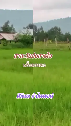 #เพลงเพราะๆโดนใจ🥀❤❤🥀 