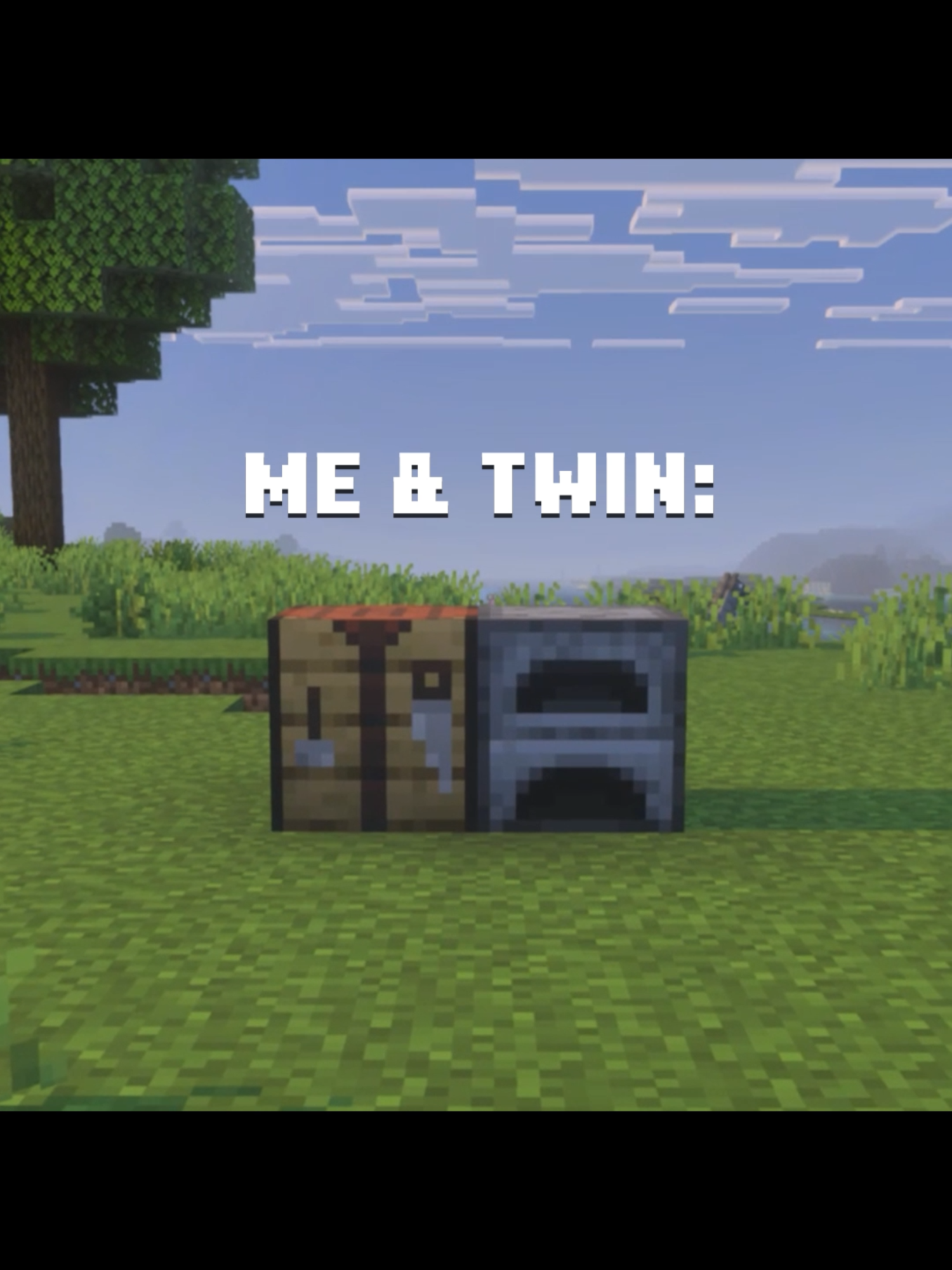 4L 🤝   #Minecraft #minecraftmemes