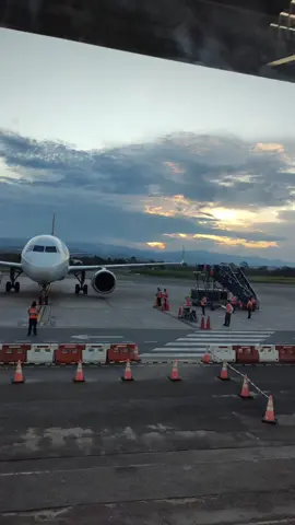 🤷🏻‍♀️🍀🌷🤣