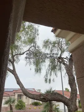 #paratiiiiiiiiiiiiiiiiiiiiiiiiiiiiiii #paratiiiiiiiiiiiiiiiiiiiiiiiiiiiiiii  #LIVEIncentiveProgram #LIVECareer #PaidPartnership 