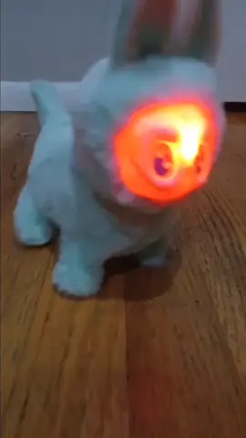 LABUBU DOG #labubu #sus #tiktok #fyp 
