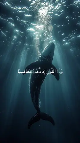 #قران_كريم #quran #القران #quran_alkarim #الوتر  لا اله الا انت سبحانك اني كنت من الظالمين