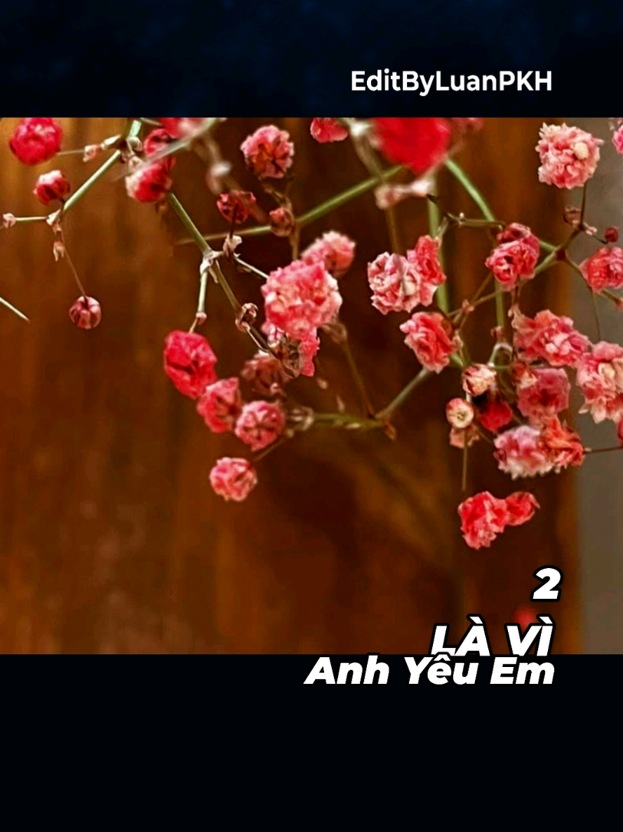 Đêm nào anh cũng mơ về...nụ cười em.@Luân.PKH @Luân.PKH @Luân.PKH #luanpkh #EditByLuanPKH #lavianhyeuem #maucapcut #mua 