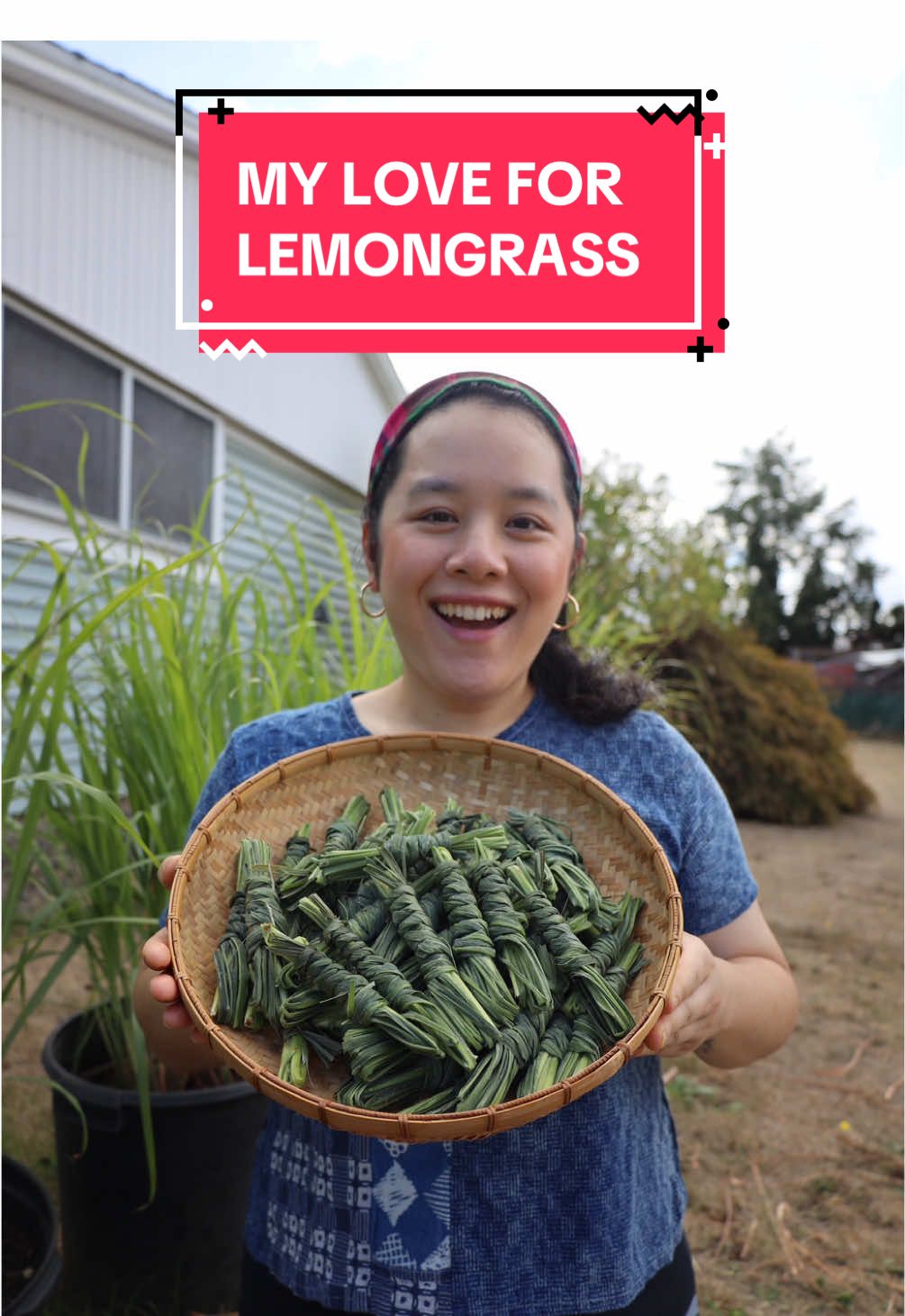 It’s that time of year to start storing our lemongrass. Here we are taking care of the stalks & leaves. The stalks are placed into a bag & stored in the freezer. They’re great in a marinade, stir fry, salad, and so much more! We love taking the leaves and binding them into bundles to be put into tea & soups. They’re so aromatic and stored really well in the freezer. The leaves are best used for steeping only (I don’t recommend eating them since they are quite sharp [unless dried & turned into fine powder form]).  I always enjoy watching my mom make these bundles because she does them so effortlessly & beautifully.  I do have a full video on how to propagate, plant, grow, & use lemongrass on my channel if you’re interested. I also have tips and tricks on how to easily bind lemongrass leaves written on my website. So go check it out.  • • • #Hmong #hmongfood #herb #lemongrass #garden