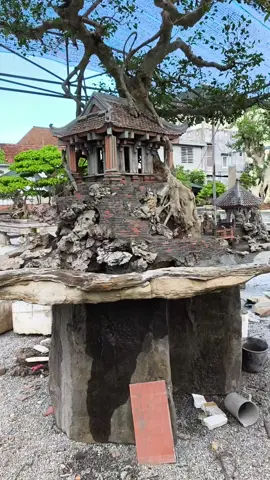 chào ngày mới#nghethuat #tieucanh #caycanh #bonssai 