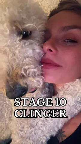 He’s less of a pet and more of a full-time attachment.