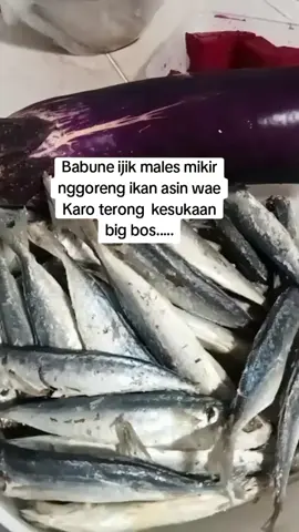 Ikan asin di Singapore,1 /kg 130 RB cahh..#🇸🇬tiktoksingapore 