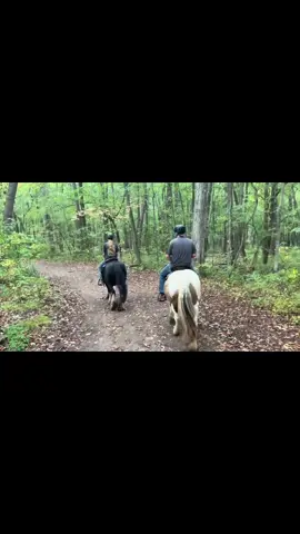 My best days are spent in the saddle ❤️ #horsesoftiktok #serenityfarmgypsyhorses #michigantok #norainnoflowers🌻 #hesallthat 