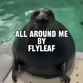 all around me by flyleaf seal music video requested by @Jase Nicol  #seal #sealtok #flyleaf #allaroundme #flyleafallaroundme 