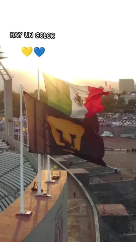 #pumasmx #pumas #CU #rebel #pumasmx 