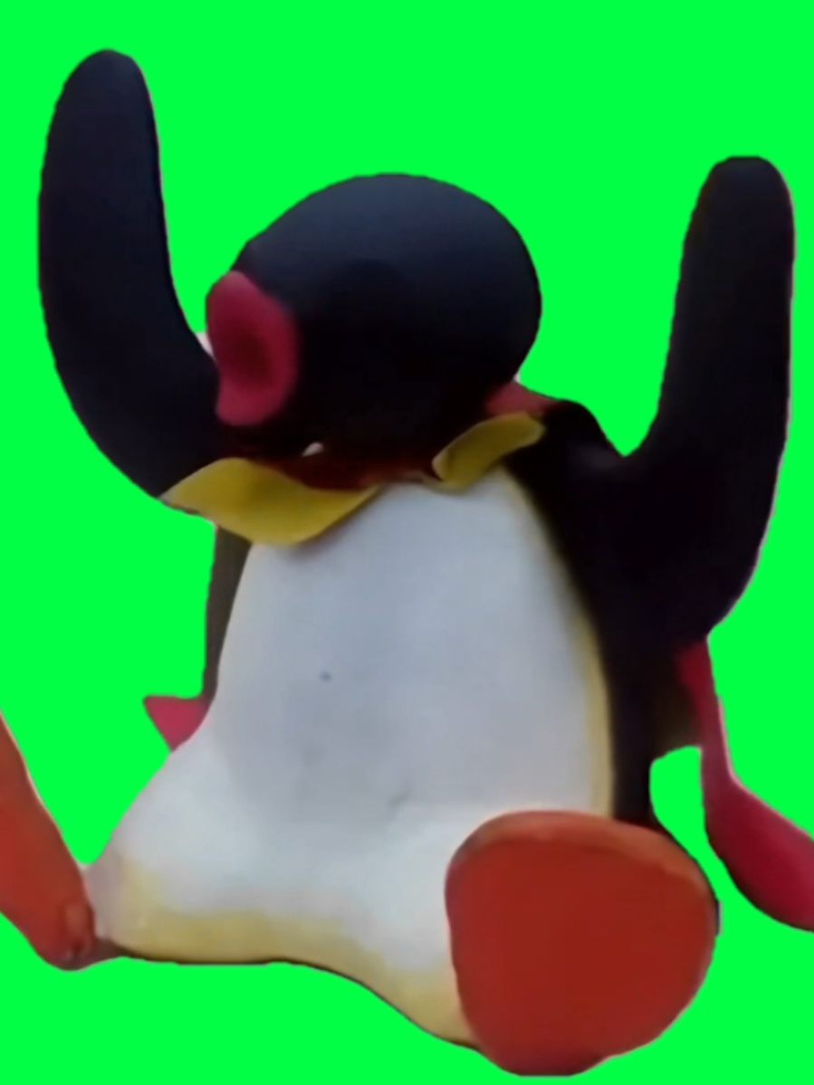 Use this CapCut green screen of Pingu doing the wobbly-wiggly trend—perfect for playful meme edits, cute animal comedy, or adding captions to ride the trend with classic cartoon charm. Great for fans of nostalgic animation and creators who want light-hearted, attention-grabbing content. #pingu #wobblywiggly #cutecartoon #memeedit  #funnyanimal