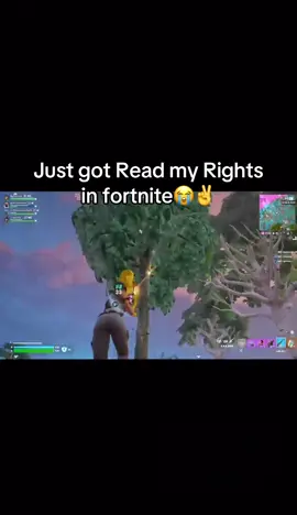 No shot im getting arrested on fort #proximitychat #fortnite #fypシ゚viral #voicechat #arrested