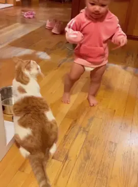 Mischievous cat #cat #funnycat #cats #funnyvideos #fyp 