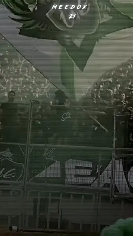 #LIVEIncentiveProgram #LIVEStory #PaidPartnership #المغرب🇲🇦تونس🇹🇳الجزائر🇩🇿ultras #eagles 