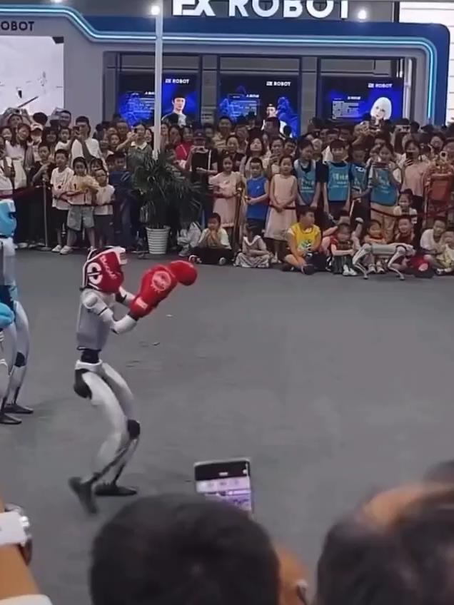 Fighting robots..... LOL #shortvideo #shorts #funny #laugh #hilarious #giggles #robots #boxer #boxing