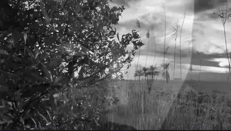 بس ذكرياتك💔#fypシ #fypシ #goviral #fyp 