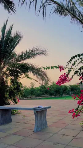 کہانیاں تو پڑھ لی جاتی ہیں پر زندگی نہیں پڑھی جاتی۔✨🕊️🥹💫#views #meh_alee #fypシ゚ #support_me #unfreezemyacount 