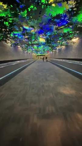 This is your sign to book that flight ✈️ #fyp #atlantaairport #georgia 