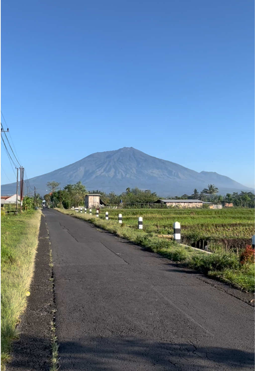 Rekomendasi spot jogging terbaik di Singosari! 🏃‍♂️   View 3 gunung — Arjuno, Buthak, dan Semeru 🌄   Sawah, udara sejuk, dan jalan lurus yang tenang.   Sudah pernah lari pagi di sini?   #singosari#laripagiv#exploremalang#viewgunung#arjunowelirang