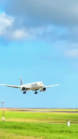 Qatar Airways (Albino)  #foryoupage #planespotting 