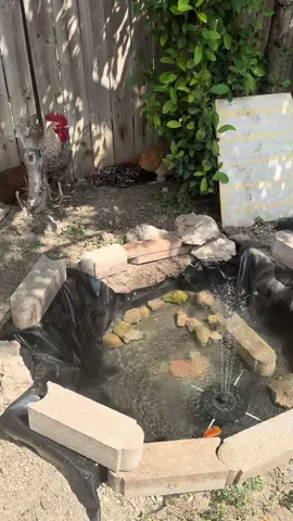 We can do it #LIVEIncentiveProgram #JustGoLIVE #PaidPartnership 