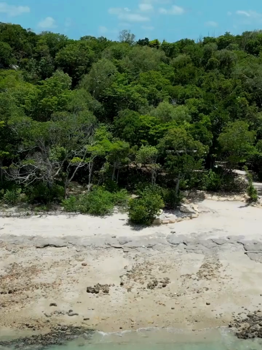 🏖️WHITEHAVEN BEACH – A praia de areia tão pura que brilha! ✨ Imagine 7 km de areia sílica branca e água turquesa tão cristalina que parece um aquário gigante! 😍🌊 Localizada na Ilha Whitsunday, na Austrália, Whitehaven é consistently eleita uma das praias mais lindas do mundo – e é tão protegida que você não pode levar nada além de sua câmera! 🔹 Areia que não esquenta: Feita de 98% sílica pura, não retém calor – caminhe descalço mesmo no verão! ☀️ 🔹 Vista do Hill Inlet: O ponto mais famoso, onde maré e areia criam um mosaico de azuis e brancos! 📸 🔹 Vida marinha: Tartarugas, raias e golfinhos nadam nas águas rasas! 🐢🐬 📍 Já sonhou em pisar nesse paraíso? Comente se topa o passeio de barco ou helicóptero! 👇 💙 Salve e marque quem merece um dia nesse cartão-postal natural! #WhitehavenBeach #Australia #10k #Viagem #monetizartiktok #luxurylifestyle