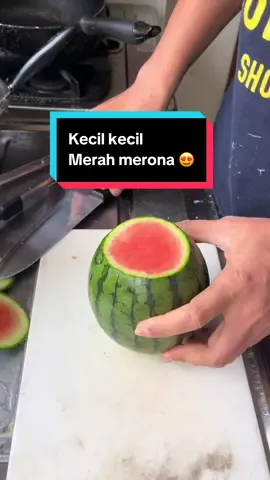 Walau kecil tapi merah merona 😍 #fyp  #semangka 