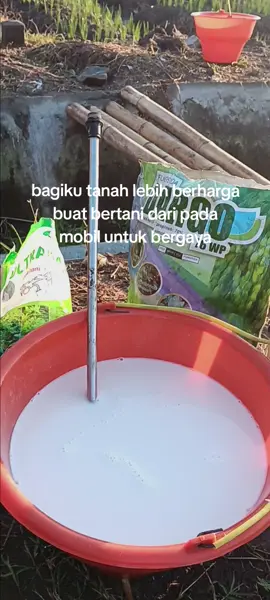 Hahahahah . #andrilembutanen #petaniindonesia🇮🇩🇮🇩🇮🇩🌿🌿 #bawangmerahnganjuk 
