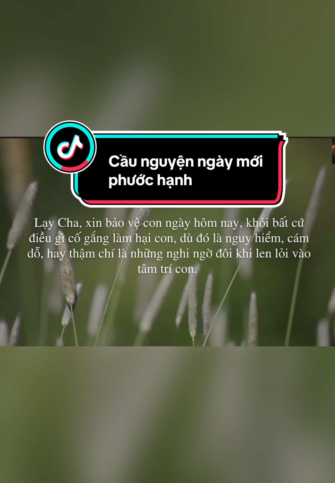 Lời Cầu nguyện cho ngày mới phước hạnh... #chúa #church #chúagiêsu #jesus #christiantiktok #caunguyen #pray #kinhthanh #ngaymoi #ngaymoivuive 