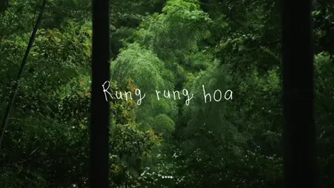 Tình ca tây bắc quá tình.. #tinhcataybac #soobinhoangson #guhu #xuhuong #fypシ゚ 