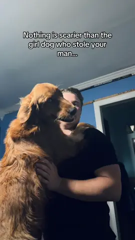 The kiss at the end was the nail in the coffin… #goldenretriever 