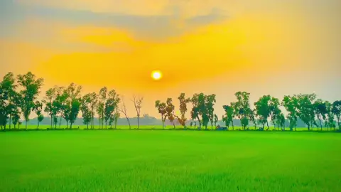 ভাই আল্লাহর দিনের কথা বেশি বেশি শেয়ার করেন,,,,,,,,🥰🥰🥰#islamic_video #foryoupage #fypppppppppppppp #unfrezzmyaccount😭😭😭😭😭 #creatorsearchinsights2025 